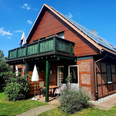 Ferienhaus Sasse Ferienwohnungen Mit Garten & Grill Molschow Eksteriør bilde